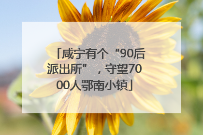 咸宁有个“90后派出所”，守望7000人鄂南小镇