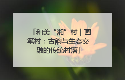 和美“湘”村｜画笔村：古韵与生态交融的传统村落