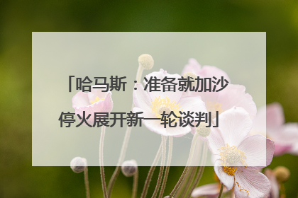 哈马斯：准备就加沙停火展开新一轮谈判