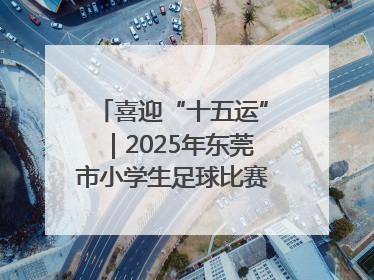 喜迎“十五运”｜2025年东莞市小学生足球比赛圆满收官