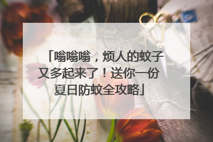 嗡嗡嗡，烦人的蚊子又多起来了！送你一份夏日防蚊全攻略