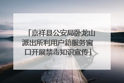 嘉祥县公安局卧龙山派出所利用户籍服务窗口开展禁毒知识宣传