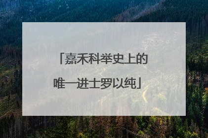 嘉禾科举史上的唯一进士罗以纯