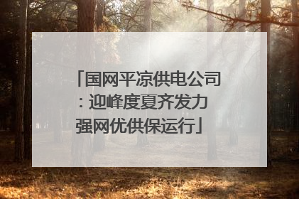 国网平凉供电公司：迎峰度夏齐发力 强网优供保运行