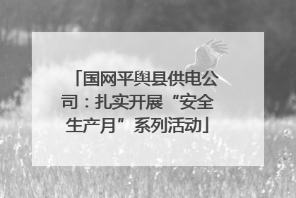 国网平舆县供电公司：扎实开展“安全生产月”系列活动