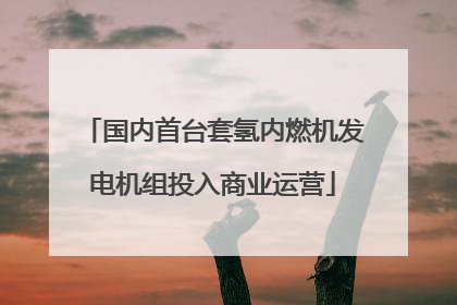 国内首台套氢内燃机发电机组投入商业运营