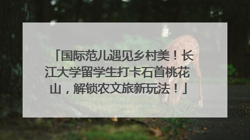 国际范儿遇见乡村美！长江大学留学生打卡石首桃花山，解锁农文旅新玩法！