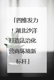 四维发力！湖北沙洋打造法治化营商环境新标杆