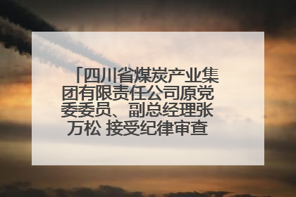 四川省煤炭产业集团有限责任公司原党委委员、副总经理张万松 接受纪律审查和监察调查