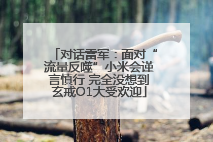 对话雷军：面对“流量反噬”小米会谨言慎行 完全没想到玄戒O1大受欢迎