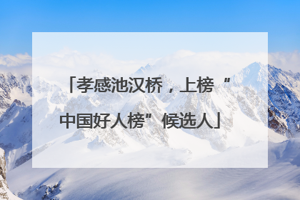 孝感池汉桥，上榜“中国好人榜”候选人