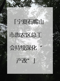 宁夏石嘴山市惠农区总工会持续深化“产改”