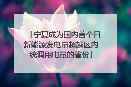 宁夏成为国内首个日新能源发电量超越区内统调用电量的省份