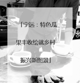 宁远：特色瓜果丰收绘就乡村振兴新图景