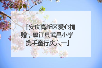 安庆高新区爱心捐赠，望江县武昌小学携手童行庆六一