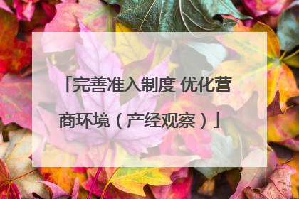 完善准入制度 优化营商环境（产经观察）