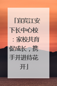 宜宾江安下长中心校：家校共育促成长，携手并进待花开