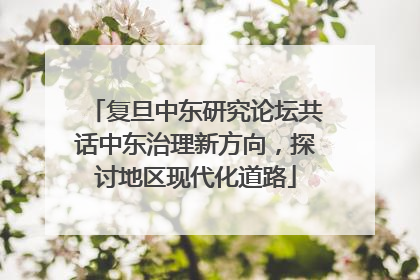 复旦中东研究论坛共话中东治理新方向，探讨地区现代化道路