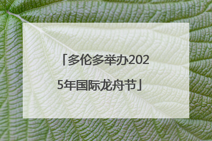 多伦多举办2025年国际龙舟节