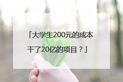 大学生200元的成本干了20亿的项目？