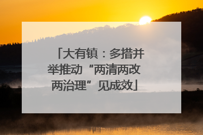 大有镇：多措并举推动“两清两改两治理”见成效