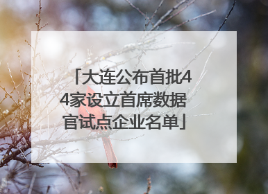 大连公布首批44家设立首席数据官试点企业名单