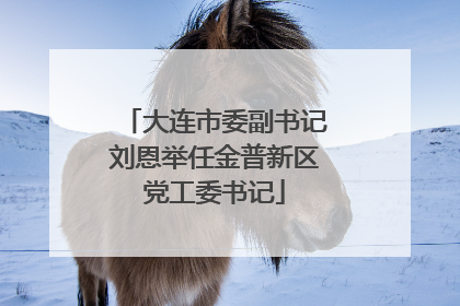 大连市委副书记刘恩举任金普新区党工委书记