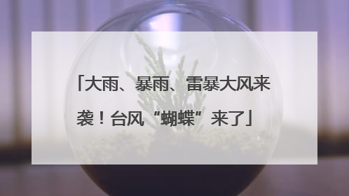 大雨、暴雨、雷暴大风来袭！台风“蝴蝶”来了