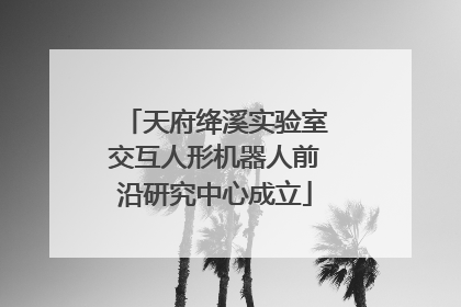 天府绛溪实验室交互人形机器人前沿研究中心成立