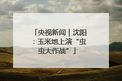 央视新闻｜沈阳：玉米地上演“虫虫大作战”