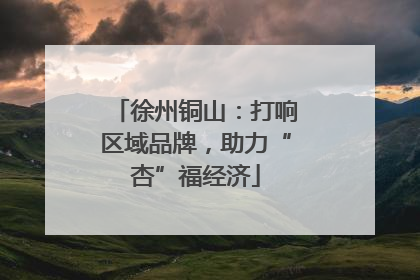 徐州铜山：打响区域品牌，助力“杏”福经济