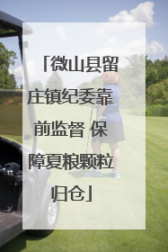 微山县留庄镇纪委靠前监督 保障夏粮颗粒归仓