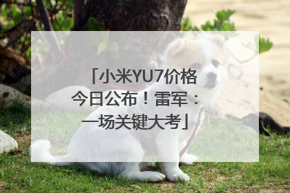 小米YU7价格今日公布！雷军：一场关键大考