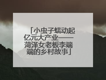 小虫子蠕动起亿元大产业——菏泽女老板李端端的乡村故事