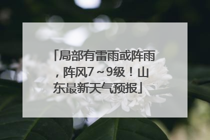 局部有雷雨或阵雨，阵风7～9级！山东最新天气预报