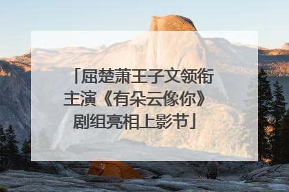 屈楚萧王子文领衔主演《有朵云像你》剧组亮相上影节