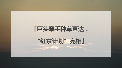 巨头牵手种草直达：“红京计划”亮相