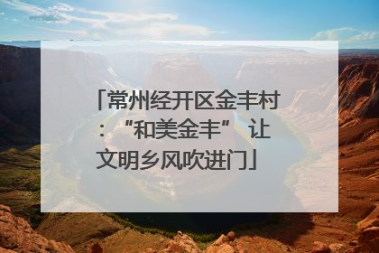 常州经开区金丰村：“和美金丰” 让文明乡风吹进门
