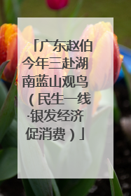 广东赵伯今年三赴湖南蓝山观鸟（民生一线·银发经济促消费）