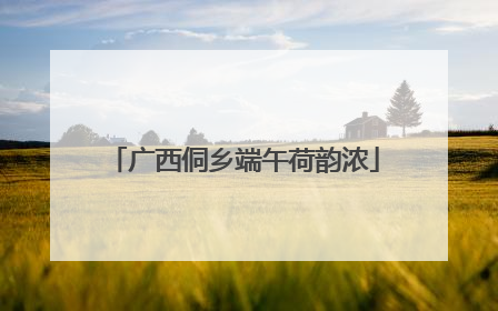 广西侗乡端午荷韵浓
