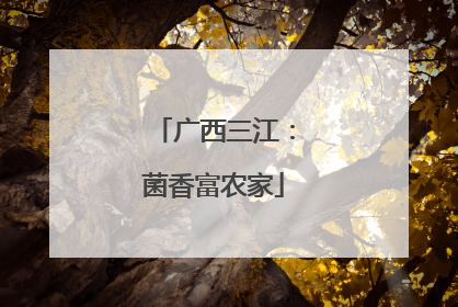 广西三江：菌香富农家