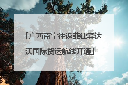 广西南宁往返菲律宾达沃国际货运航线开通
