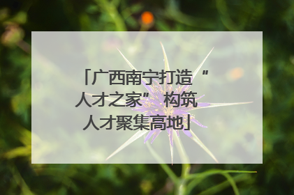 广西南宁打造“人才之家” 构筑人才聚集高地