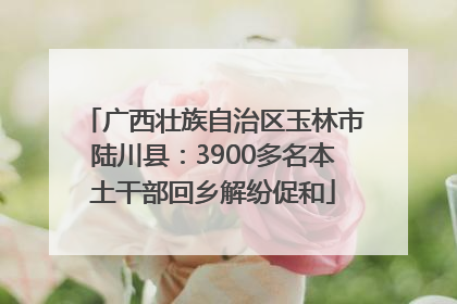 广西壮族自治区玉林市陆川县：3900多名本土干部回乡解纷促和