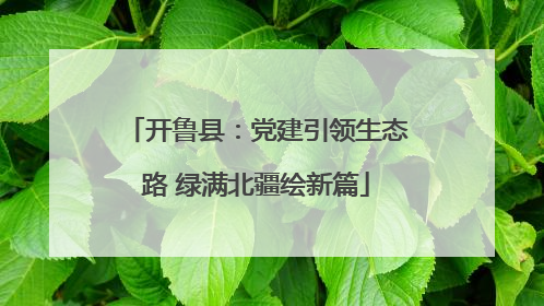 开鲁县：党建引领生态路 绿满北疆绘新篇