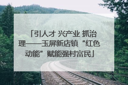引人才 兴产业 抓治理——玉屏新店镇“红色动能”赋能强村富民