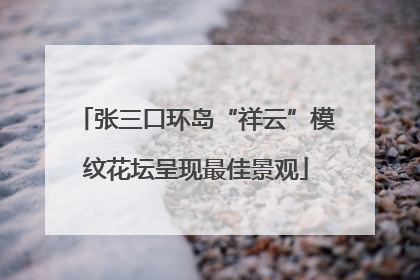 张三口环岛“祥云”模纹花坛呈现最佳景观