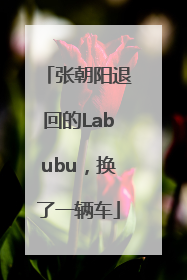 张朝阳退回的Labubu，换了一辆车