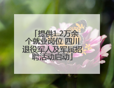 提供1.2万余个就业岗位 四川退役军人及军属招聘活动启动