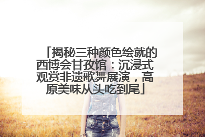 揭秘三种颜色绘就的西博会甘孜馆：沉浸式观赏非遗歌舞展演，高原美味从头吃到尾